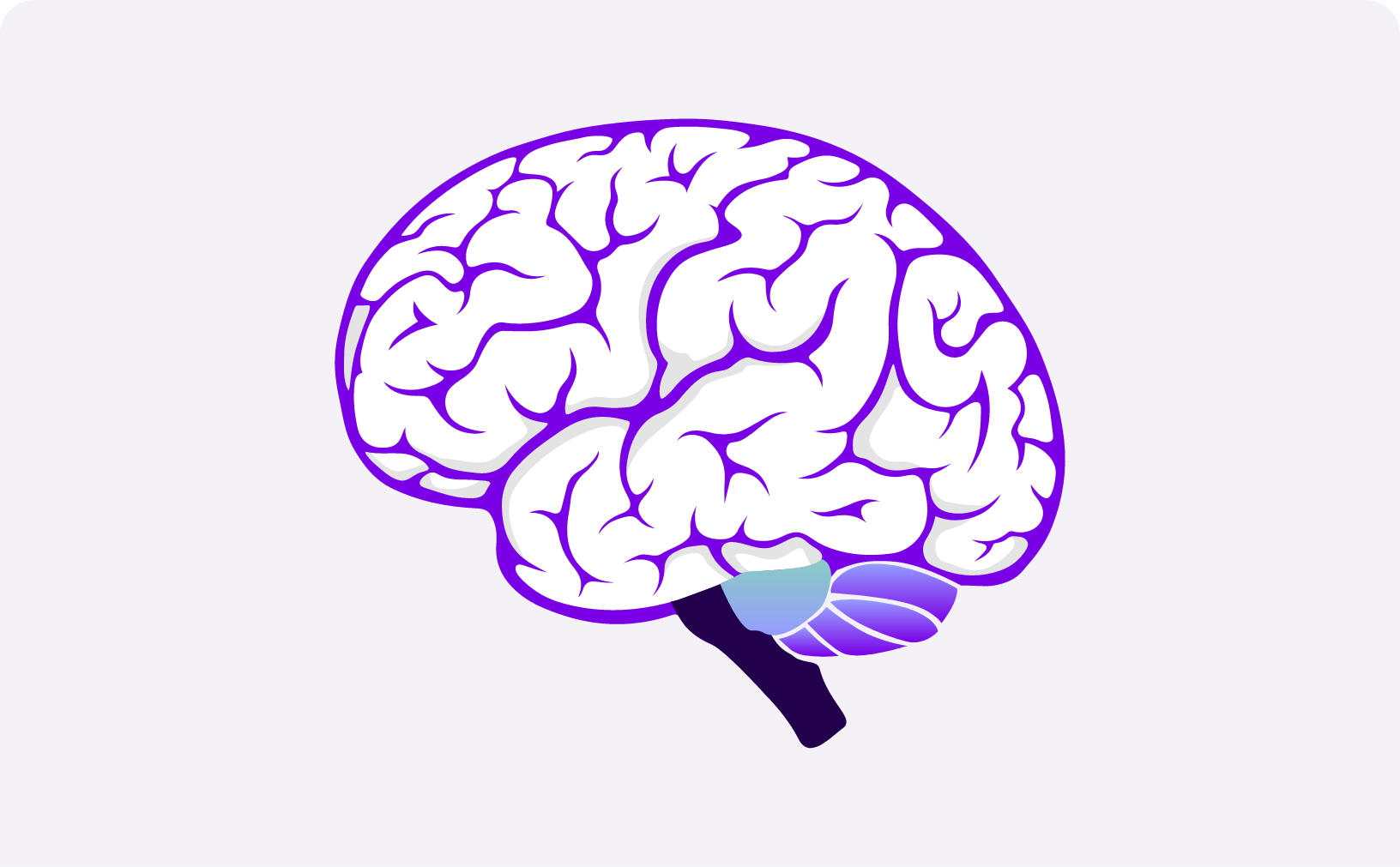 Purple brain illustration symbolizing neurology and central nervous system focus. 