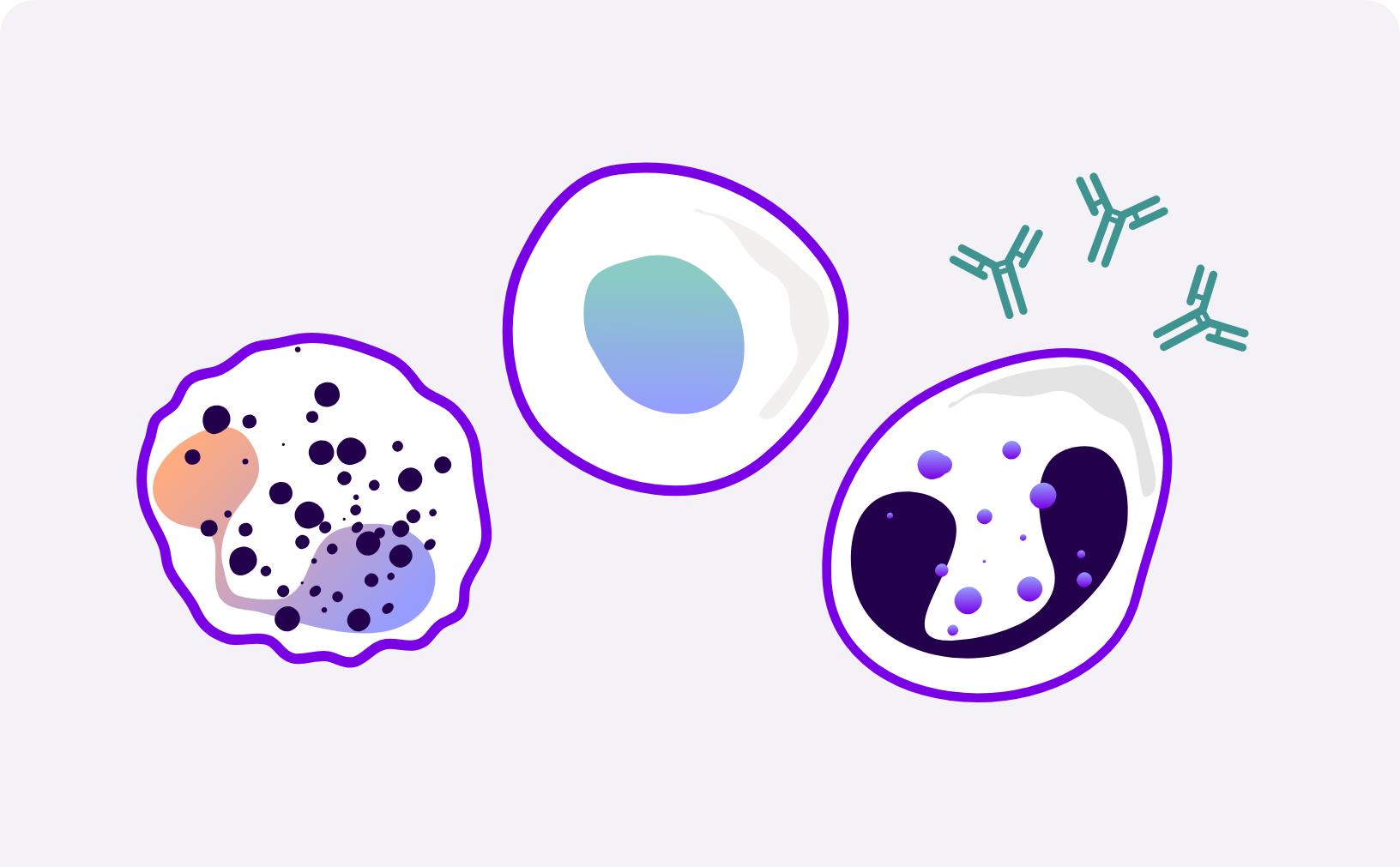 Illustrated immune cells representing inflammation and immune response. 