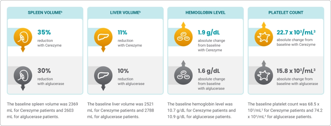 Infographic comparing spleen volume, liver volume, hemoglobin level, and platelet count with Cerezyme versus alglucerase.