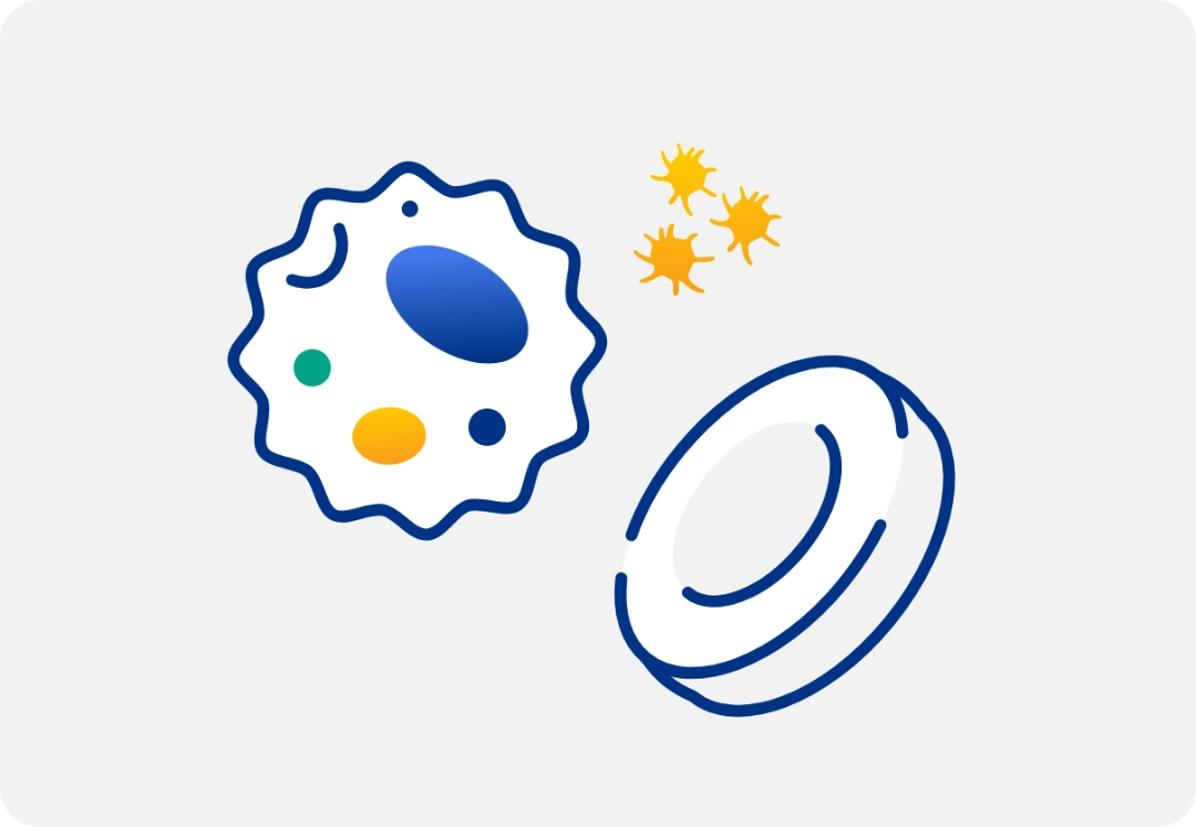 Illustration representing blood cell and immune response activity.
