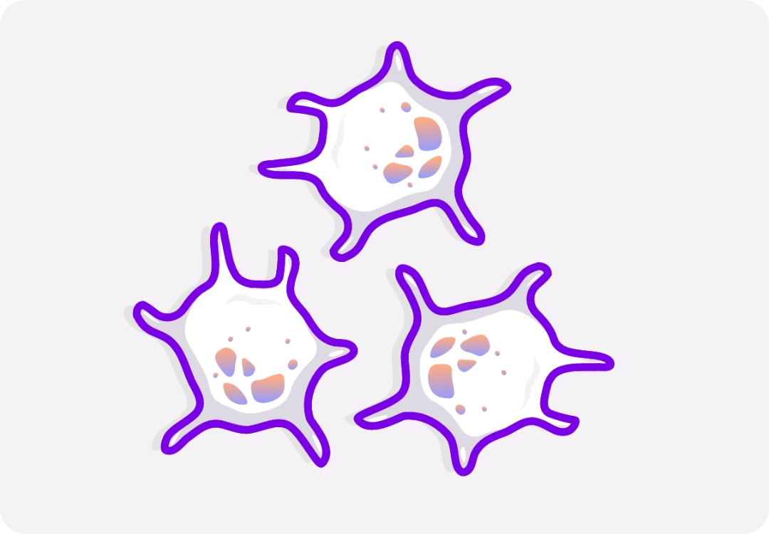 Illustration of platelets.