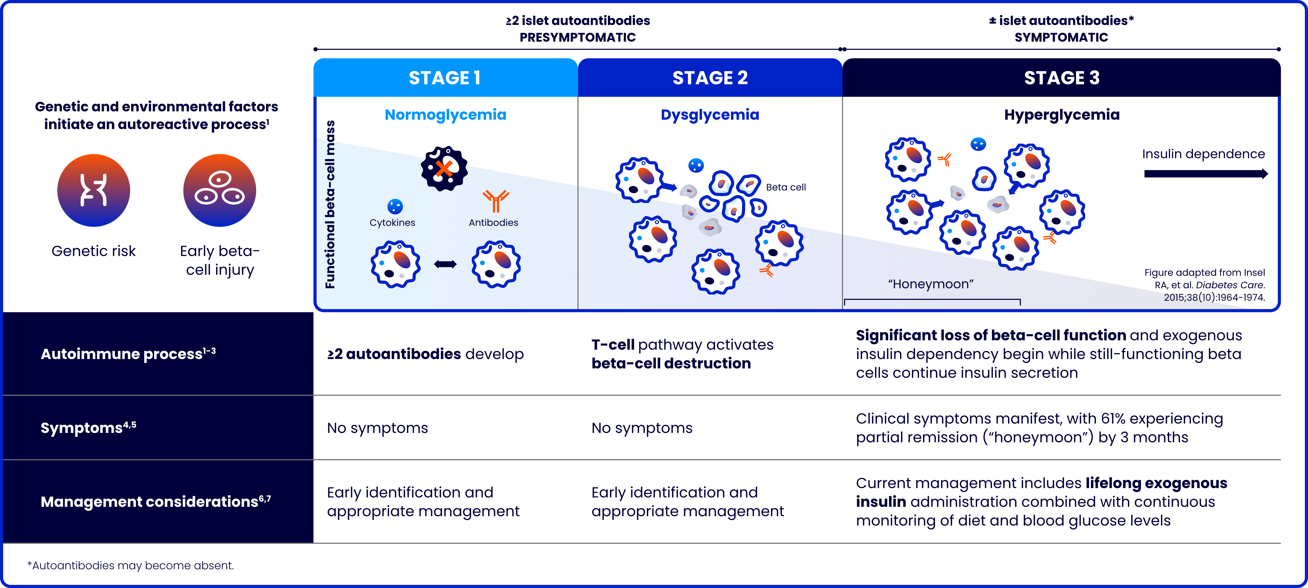 Image carousel showing the impact of beta-cell function as T1D progresses.    