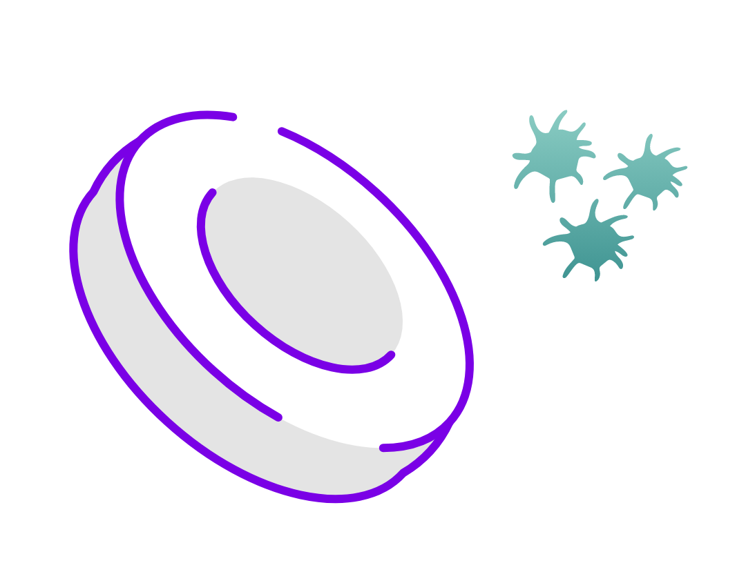 Illustration of Red blood cell and immune cells representing graft-versus-host disease. 