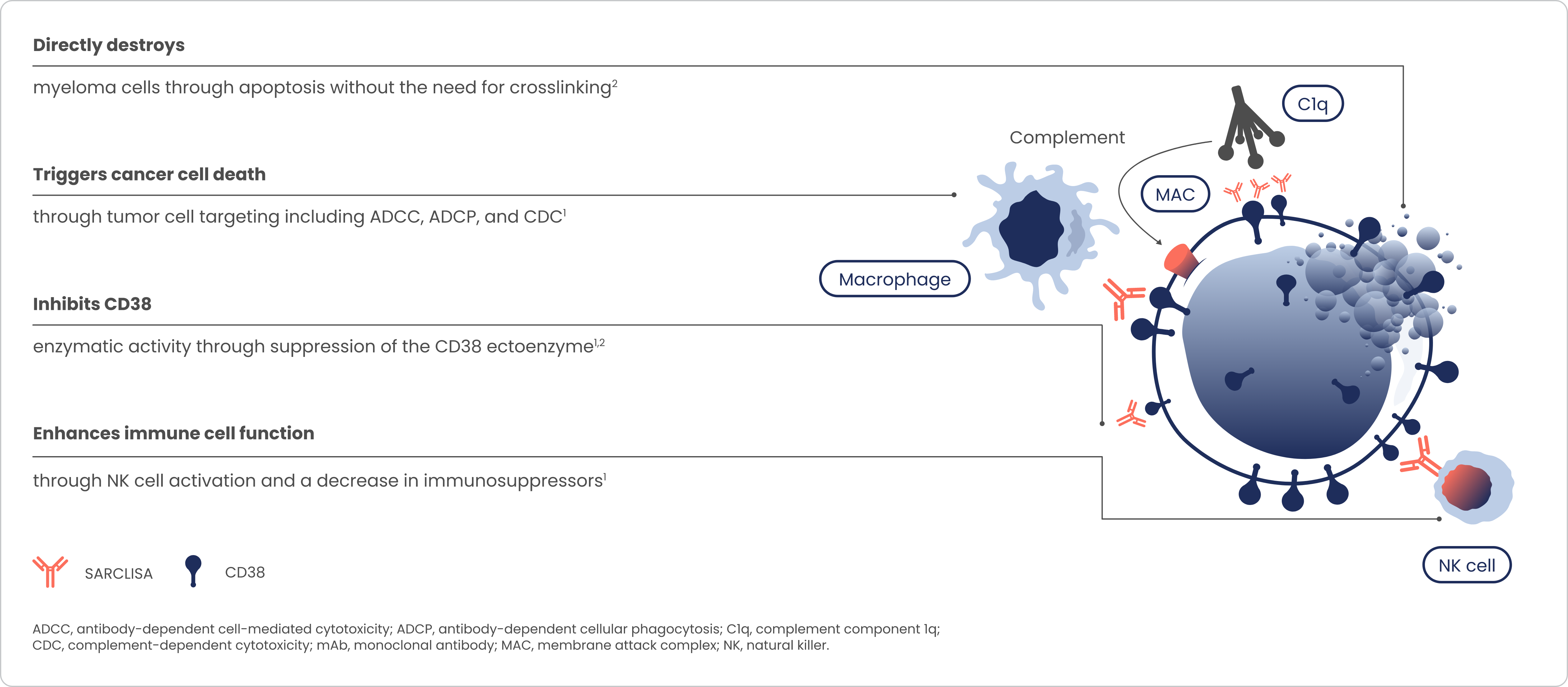 Chart illustrating mechanism of action (MOA) of SARCLISA®.