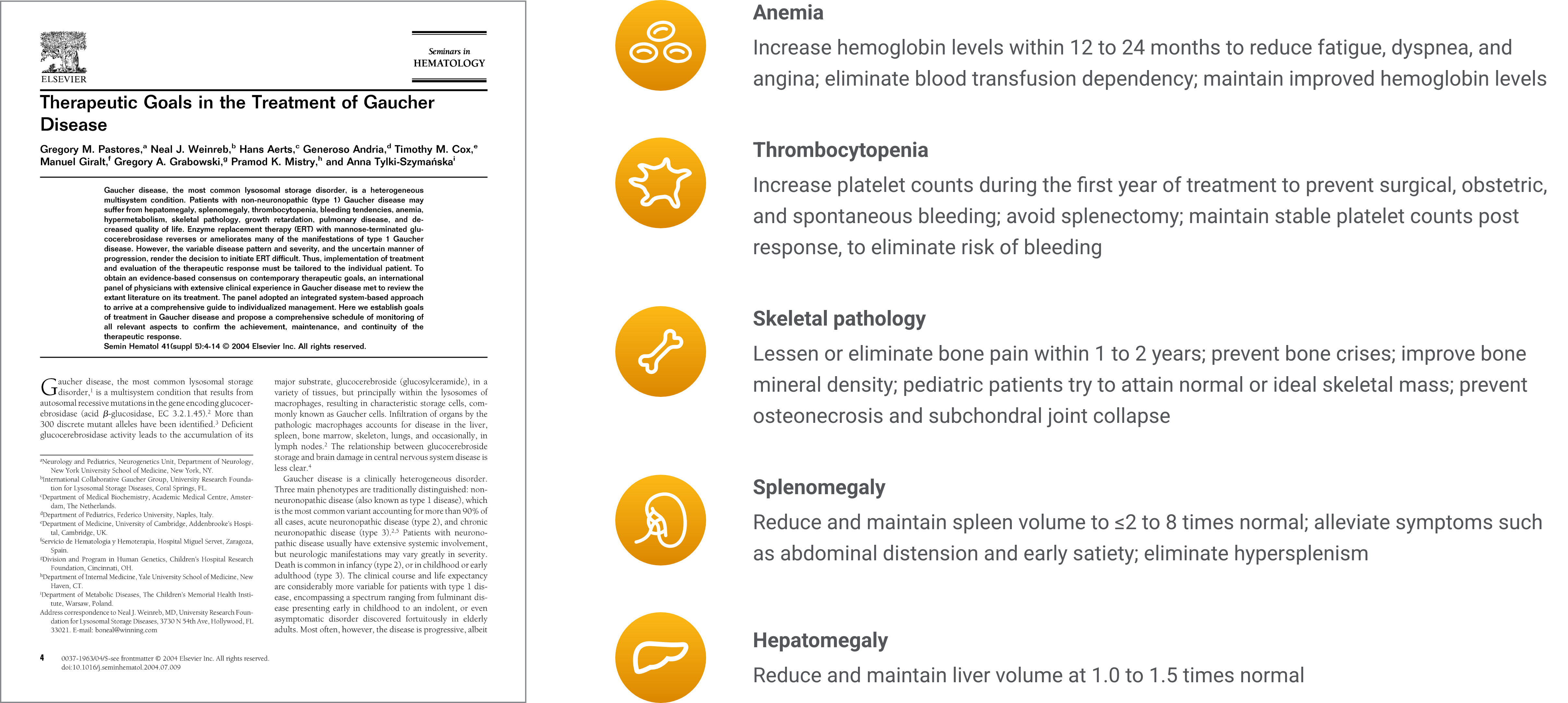 Thumbnail image of the 2004 publication entitled "Therapeutic Goals in the Treatment of Gaucher Disease" by Pastores and colleagues. 