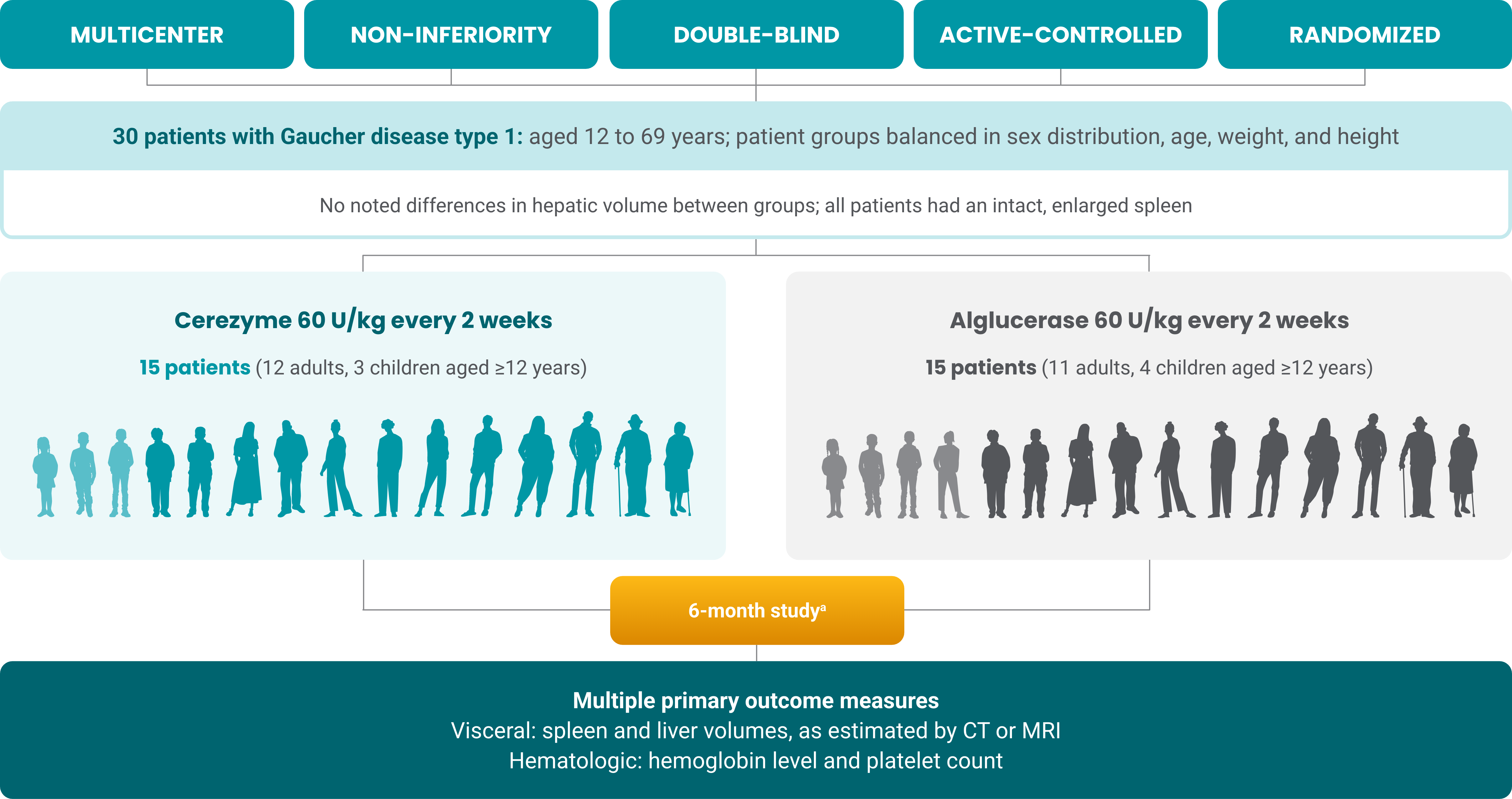 Infographic to show study design of the phase 3 pivotal trial comparing Cerezyme to alglucerase. 