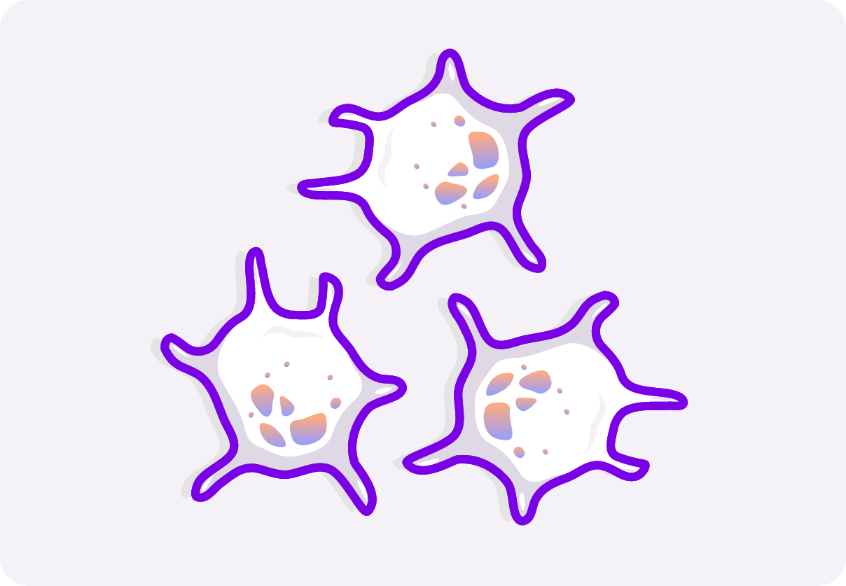 Illustration showing activated platelets involved in inflammation. 