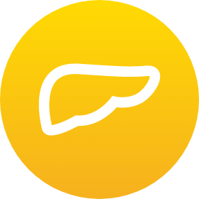 Human liver icon.