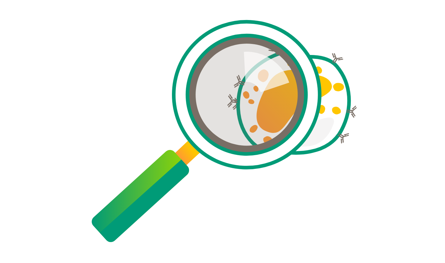 llustration of a magnifying glass examining a cytokine.