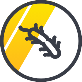 Bacteria icon