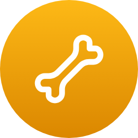 Human bone icon.