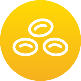 Red blood cells icon.