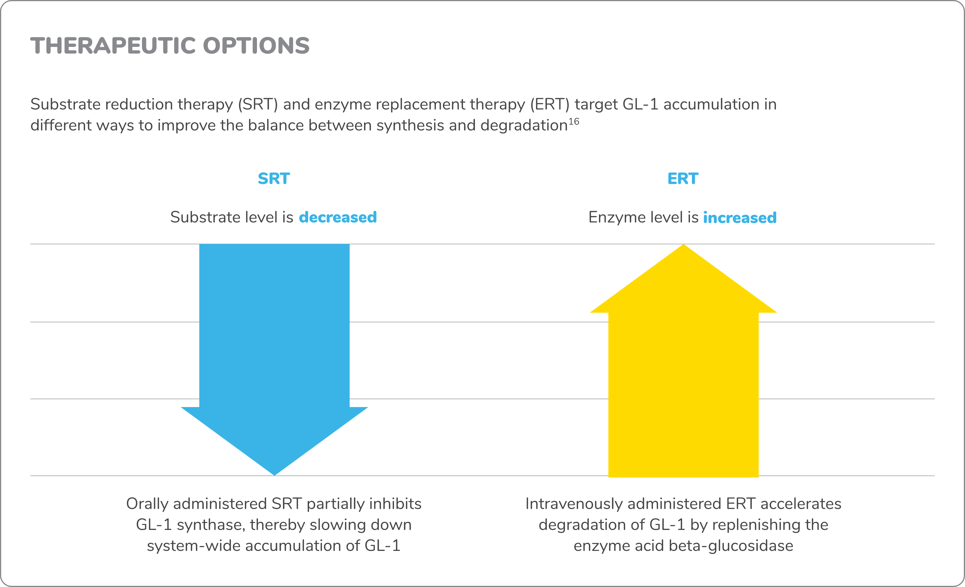 Graphic showing the different mechanisms of action for 2 therapeutic options available for Gaucher disease type 1, substrate reduction therapy (SRT) and enzyme replacement therapy (ERT).