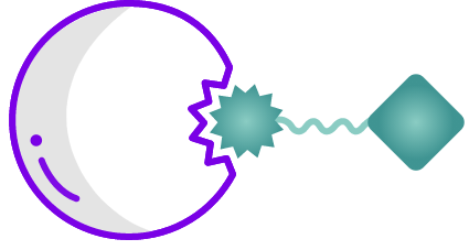 Illustration representing protein degraders.