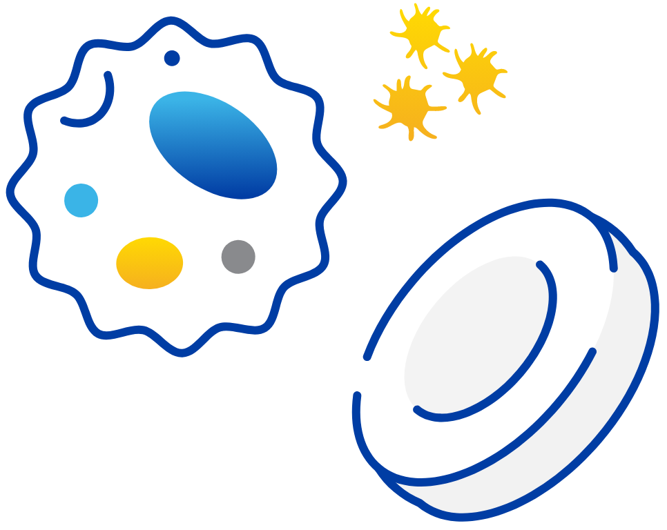 Illustration of human blood cells to demonstrate cytopenias.