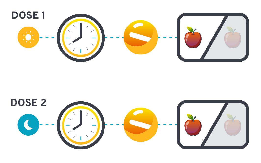 Illustration of Dose 1 and Dose 2 (AM and PM), with an icon of a clock, tablet and food restriction.
