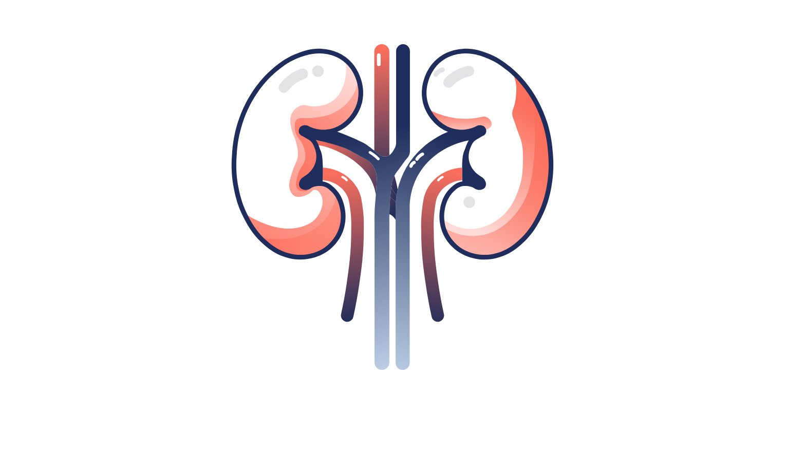 Icon representing renal impairment.