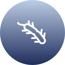 Icon of a bacterium, representing bacterial health risks.