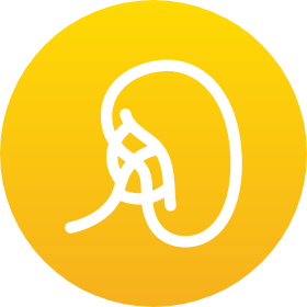 Human spleen icon.
