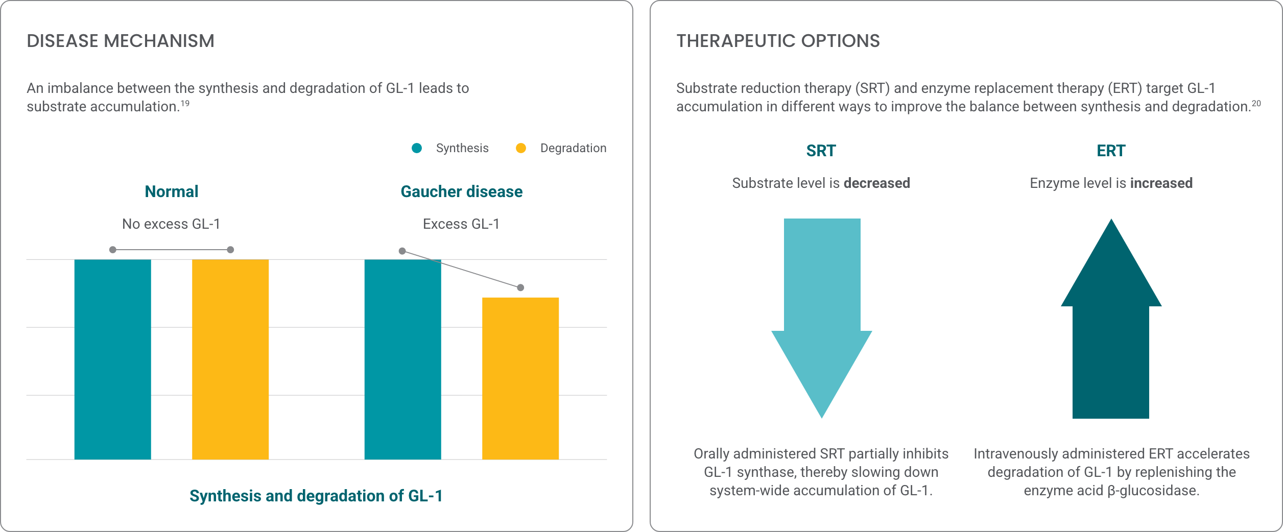 Chart demonstrating that an imbalance between the synthesis and degradation of GL-1 leads to substrate accumulation in Gaucher disease. 